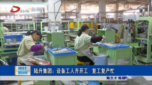 陸升集團(tuán) 設(shè)備工人齊開(kāi)工 復(fù)工復(fù)產(chǎn)忙